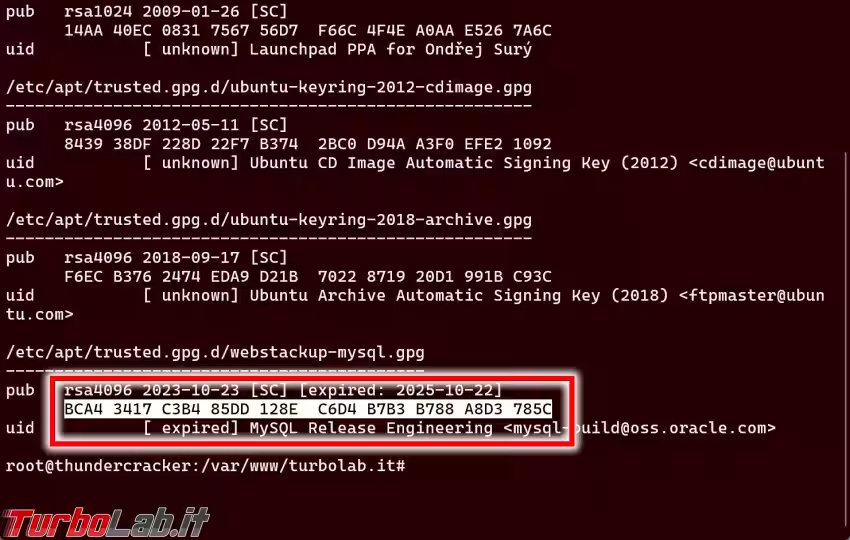 Immagine 4 sshot_1764534510 Immagine 4 sshot_1764534510