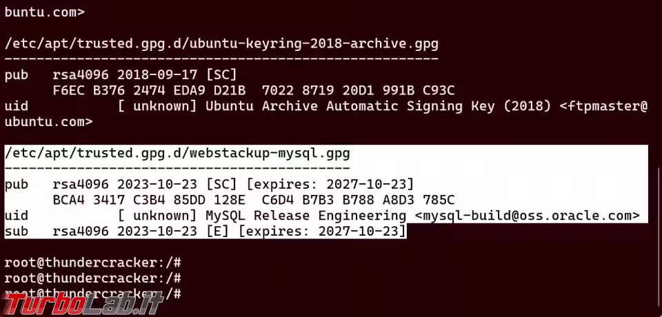 Immagine 7 sshot_1764541331 Immagine 7 sshot_1764541331