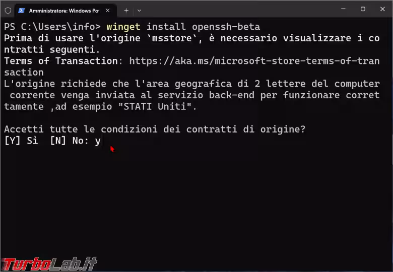 Immagine 6 zShotVM_1724220878